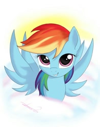 Size: 811x1034 | Tagged: safe, artist:freeedon, imported from derpibooru, rainbow dash, art theft, female, grin, solo, spread wings