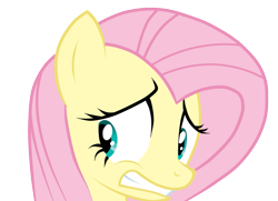 Size: 951x687 | Tagged: safe, artist:misakichu, imported from derpibooru, fluttershy, hurricane fluttershy, anxiety, cringing, face, female, nervous, reaction image, simple background, solo, transparent background, vector, worried