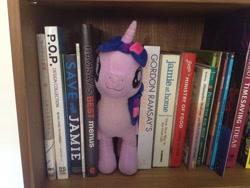 Size: 1280x960 | Tagged: safe, artist:dm29, imported from derpibooru, twilight sparkle, alicorn, pony, :3, book, bookcase, bookhorse, bookshelf, cute, female, gordon ramsay, irl, jamie oliver, japanese, julian yeo is trying to murder us, mare, photo, plushie, smiling, solo, that pony sure does love books, the simpsons, twiabetes, twilight sparkle (alicorn)