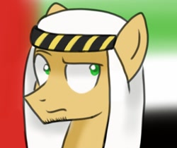 Size: 468x394 | Tagged: safe, artist:hetalianderpy, imported from derpibooru, oc, oc only, pony, headdress, keffiyeh, nation ponies, ponified, solo, united arab emirates