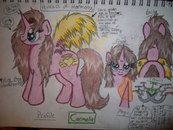 Size: 3648x2736 | Tagged: safe, artist:shelby100, imported from derpibooru, oc, oc only, oc:carmela, alicorn, pony, alicorn oc, solo, traditional art