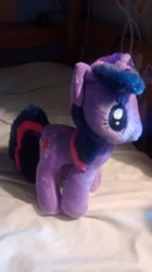 Size: 1456x2592 | Tagged: safe, imported from derpibooru, twilight sparkle, irl, photo, plushie