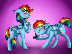 Size: 1600x1200 | Tagged: safe, artist:artistcoolpony, imported from derpibooru, rainbow dash, pony, dashblitz, duo, female, male, marriage proposal, rainbow blitz, rule 63, self ponidox, selfcest, shipping, straight