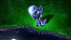 Size: 4800x2700 | Tagged: safe, artist:flamevulture17, imported from derpibooru, princess luna, eye reflection, female, filly, looking up, moon, night, reflection, sitting, solo, stars, water, woona