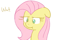 Size: 657x450 | Tagged: safe, artist:speccysy, imported from derpibooru, fluttershy, pegasus, pony, :t, bust, confluttershy, confused, female, floppy ears, fluttershy is not amused, frown, lidded eyes, mare, portrait, reaction image, simple background, solo, text, unamused, wat, white background