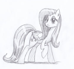 Size: 1758x1640 | Tagged: safe, artist:digiral, imported from derpibooru, fluttershy, female, monochrome, solo, traditional art