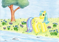 Size: 1024x724 | Tagged: safe, artist:normaleeinsane, imported from derpibooru, meadowbrook (g3), female, flower, g3, river, solo, stream, traditional art, tree