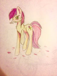 Size: 720x960 | Tagged: safe, artist:serenity, imported from derpibooru, roseluck, earth pony, pony, female, looking at you, mare, rose, rose petals, solo, traditional art