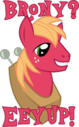 Size: 6229x10018 | Tagged: safe, artist:eddie-shadows, imported from derpibooru, big macintosh, earth pony, pony, absurd resolution, brony pride, bust, male, shirt design, simple background, solo, stallion, transparent background, vector