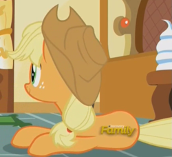 Size: 871x794 | Tagged: safe, imported from derpibooru, screencap, applejack, what about discord?, discovery family logo, unfortunate logo placement