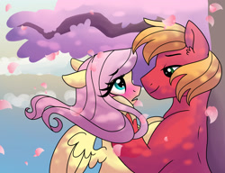 Size: 3380x2600 | Tagged: safe, artist:dreamscapevalley, imported from derpibooru, big macintosh, fluttershy, earth pony, pony, blushing, cherry blossoms, cute, flower, flower blossom, fluttermac, male, petals, shipping, shyabetes, stallion, straight, windswept mane