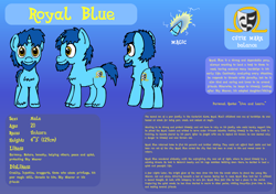 Size: 2220x1560 | Tagged: safe, artist:baratus93, imported from derpibooru, oc, oc only, oc:royal blue, pony, unicorn, backstory, bio, cutie mark, male, reference sheet, solo, stallion