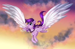Size: 1600x1036 | Tagged: safe, artist:whisperseas, imported from derpibooru, oc, oc only, pegasus, pony, necklace, solo, watermark
