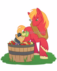Size: 1280x1600 | Tagged: safe, artist:whisperseas, imported from derpibooru, big macintosh, oc, oc:topaz apple, earth pony, pony, father and daughter, male, offspring, parent:big macintosh, parent:marble pie, parents:marblemac, simple background, stallion, watermark, white background