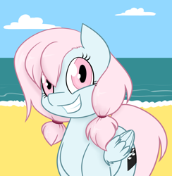 Size: 1280x1313 | Tagged: safe, artist:estrill, imported from derpibooru, oc, oc only, oc:nooby, pegasus, pony, beach, solo