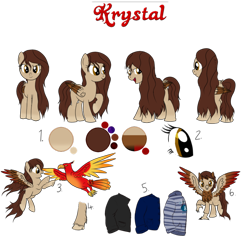 Size: 908x879 | Tagged: safe, artist:karmadash, imported from derpibooru, oc, oc only, oc:krystal feathers, bird, classical hippogriff, hippogriff, pegasus, pony, clothes, pet, pet oc, reference sheet, solo