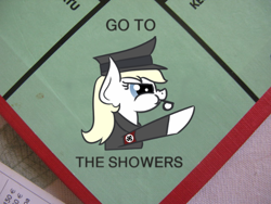 Size: 640x480 | Tagged: safe, artist:anonymous, edit, imported from derpibooru, oc, oc only, oc:aryanne, board game, eyebrows down, female, final destination, game, holocaust, holocaust joke, monopoly, nazi, photo, police, prison, schutzstaffel, shower, solo, swastika, we are going to heil, we are going to hell, whistle