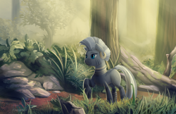 Size: 2000x1294 | Tagged: safe, artist:viwrastupr, imported from derpibooru, zecora, zebra, crepuscular rays, female, forest, mare, quadrupedal, raised hoof, solo