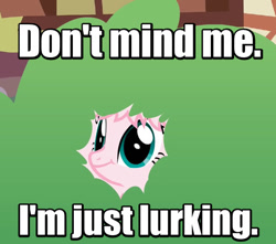 Size: 508x450 | Tagged: safe, artist:mixermike622, imported from derpibooru, oc, oc only, oc:fluffle puff, pony, bush, hiding in bushes, image macro, khuppkheighckes, lurking, meme, not creepy, reaction image, smiling, solo