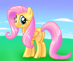 Size: 1000x829 | Tagged: safe, artist:princess-katie, imported from derpibooru, fluttershy, female, solo