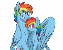 Size: 3000x2400 | Tagged: safe, artist:chub-wub, imported from derpibooru, rainbow dash, blushing, dashblitz, female, hug, male, rainbow blitz, rule 63, self ponidox, selfcest, shipping, straight, winghug