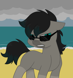 Size: 1280x1356 | Tagged: safe, artist:estrill, imported from derpibooru, oc, oc only, oc:viridian, beach, cloud, solo, sunglasses