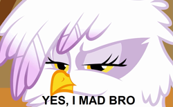 Size: 1283x798 | Tagged: safe, edit, edited screencap, imported from derpibooru, screencap, gilda, griffon, griffon the brush off, season 1, angry, feather, female, fluffy, image macro, meme, reaction image, solo, u mad