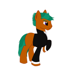Size: 900x800 | Tagged: safe, artist:destruct1veg33k, imported from derpibooru, oc, oc only, oc:destructivegeek, base used, solo