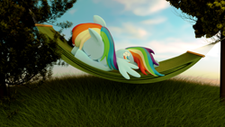 Size: 1920x1080 | Tagged: safe, artist:cumill11, deleted from derpibooru, imported from derpibooru, rainbow dash, 3d, blender, hammock, sleeping, solo, tree