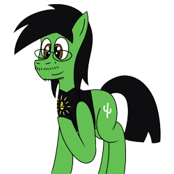 Size: 800x800 | Tagged: safe, artist:b-cacto, imported from derpibooru, oc, oc only, oc:cactus needles, earth pony, pony, beard, glasses, moustache, pin, simple background, solo, transparent background