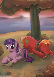 Size: 600x849 | Tagged: safe, artist:piripaints, imported from derpibooru, big macintosh, twilight sparkle, alicorn, pony, book, female, male, mare, reading, shipping, sleeping, straight, tree, twilight sparkle (alicorn), twimac