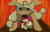 Size: 1024x660 | Tagged: safe, artist:muddy-waters, imported from derpibooru, apple bloom, applejack, pony, big sister instinct, duo, protecting