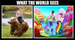 Size: 640x346 | Tagged: safe, imported from derpibooru, rainbow dash, bear, barack obama, clothes, helmet, politics, topless, vladimir putin