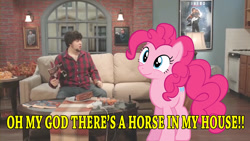 Size: 1280x720 | Tagged: safe, edit, imported from derpibooru, pinkie pie, earth pony, human, pony, female, food games, irl, irl human, jontron, photo, ponies in real life