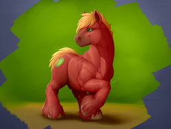 Size: 1280x960 | Tagged: safe, artist:wiredhooves, imported from derpibooru, big macintosh, earth pony, pony, male, muscles, nudity, realistic, semi-realistic, sheath, solo, stallion