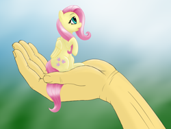 Size: 1600x1200 | Tagged: safe, artist:salemcat, imported from derpibooru, fluttershy, pegasus, pony, equestria girls, cute, female, hand, in goliath's palm, micro, my little pony, raised hoof, self ponidox, shyabetes, sitting, solo, tiny, tiny ponies