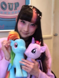 Size: 480x640 | Tagged: safe, imported from derpibooru, rainbow dash, twilight sparkle, human, blurry photo, irl, irl human, japan, photo, rinrin doll, toy, twilight sparkle (alicorn)