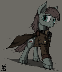 Size: 1252x1445 | Tagged: safe, artist:yahmos, imported from derpibooru, oc, oc only, oc:scarlight, earth pony, pony, clothes, fallout, female, solo