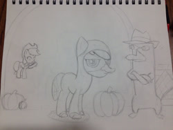 Size: 1280x960 | Tagged: safe, artist:mranthony2, imported from derpibooru, apple bloom, applejack, platypus, annoyed, clothes, costume, crossed arms, crossover, halloween, happy, looking at you, monochrome, perry the platypus, phineas and ferb, traditional art