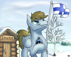 Size: 1280x1024 | Tagged: safe, artist:potes, imported from derpibooru, oc, oc only, oc:sketchy scribbles, pegasus, pony, alcohol, birch, birch tree, finland, finnish independence day, flag, food, independence day, male, patriotic, proud, sauna, snow, stallion, tree