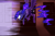Size: 1280x855 | Tagged: safe, artist:underpable, imported from derpibooru, princess luna, just another luna blog, door, female, solo, surprised
