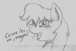 Size: 1283x856 | Tagged: artist needed, safe, imported from derpibooru, oc, oc only, oc:maría teresa de los ponyos paguetti, monochrome, solo, traditional art, ya es hora