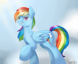 Size: 6000x5000 | Tagged: safe, artist:tuxisthename, imported from derpibooru, rainbow dash, absurd resolution, female, solo