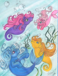 Size: 582x753 | Tagged: safe, artist:tearsofthunder, imported from derpibooru, sea pony, g1, traditional art, underwater