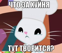 Size: 600x506 | Tagged: safe, imported from derpibooru, angel bunny, rabbit, image macro, meme, russian, translated in the comments, vulgar