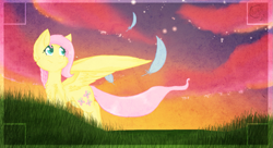 Size: 1213x662 | Tagged: safe, artist:flow3r-child, imported from derpibooru, fluttershy, feather, female, solo, sunset