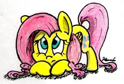 Size: 665x453 | Tagged: safe, artist:airman12, imported from derpibooru, fluttershy, female, solo, traditional art