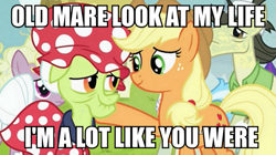 Size: 999x559 | Tagged: safe, imported from derpibooru, applejack, granny smith, image macro, meme, neil young, old man, song reference