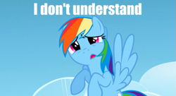 Size: 515x280 | Tagged: safe, imported from derpibooru, screencap, rainbow dash, confused, female, image macro, meme, solo, text