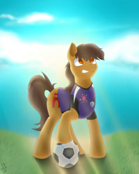 Size: 1600x2000 | Tagged: safe, imported from derpibooru, oc, oc only, oc:maría teresa de los ponyos paguetti, /mlp/, /yeh/, 4chan cup, football